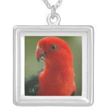 King Parrot Jewelry
