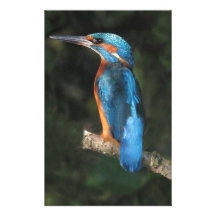 Kingfisher Stationery Paper