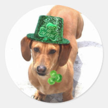 Kiss me I'm Irish Dachshund stickers