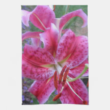 Kitchen Towel--Stargazers-2