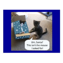 Kitten Christmas Surprise Postcard