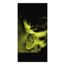 Kitten Contrast (Yellow Tint) Photo Greeting Card