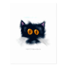 Kitten Critter Postcard