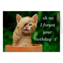 kitten forgot birthday card
