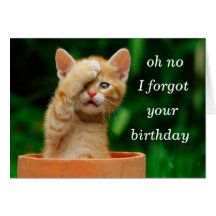 kitten forgot birthday greeting cards