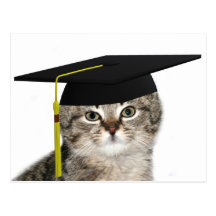 Kitten graduation postcards