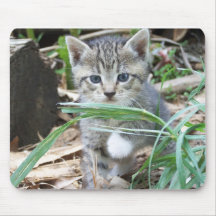 Kitten Hiding Behind Blade of Grass Mouse Pads