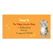 Kitten Namecard Personalised Photo Card