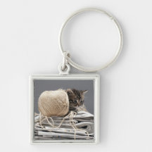 Kitten sitting on pile of newspapers key chain