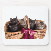 kittens in a wicker basket mouse pads