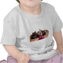 kittens in a wicker basket t shirt