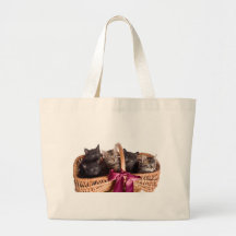 kittens in a wicker basket tote bag