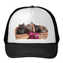 kittens in a wicker basket trucker hat