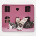 Kittens in doll's house mouse pads