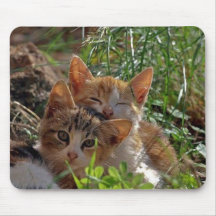 kittens in grass mouse pads