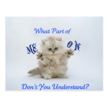 Kittens Meow Attitude Post Cards