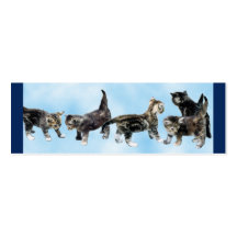 Kittens Mini Bookmark Business Card Template