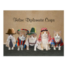 Kitty Ambassadors Postcards