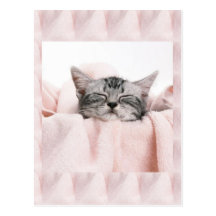 Kitty and blanket postcards