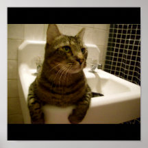 kitty bathroom poster