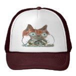 Kitty Cat Clutches his Turtle Pal Hat