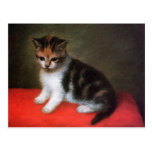 Kitty Cat Postcard:  Kitten by George Stubbs