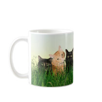 Kitty cats in the grass mugs