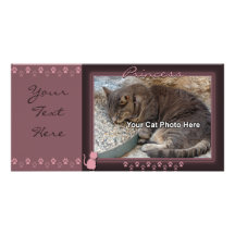 Kitty Frame PhotoCard Photo Card