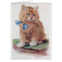 Kitty Greeting Card