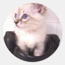 kitty in shoes Sticker
