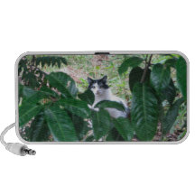 Kitty In The Leaves Mp3 Speaker