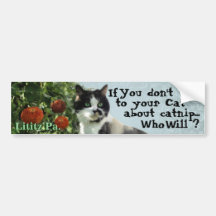 Kitty Inspirations Bumper Sticker