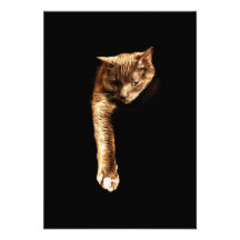 Kitty Kitty Invitations