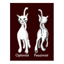 Kitty kitty postcard