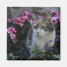 Kitty Love Magnet