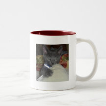 Kitty Mug