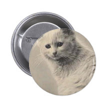 Kitty Pins