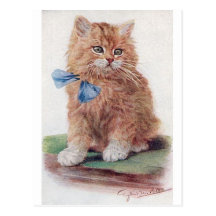 Kitty Post Card