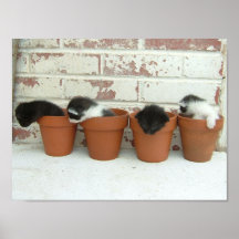 Kitty Pots Poster