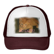 Kitty "SO CUTE!" Hat