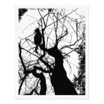 KITTY TREE SILHOUETTE B&W INVITE