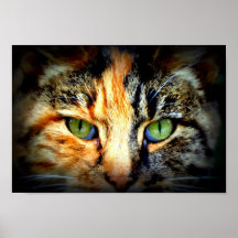 Kitty Two-Face Posters