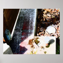 KIW Sparks: Courtyard Poster
