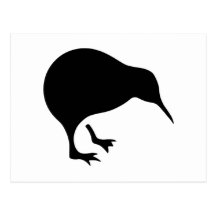 Kiwi All blacks and All Whites New Zealand gear Postcards