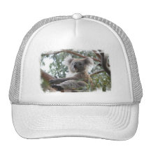Koala Baseball Hat