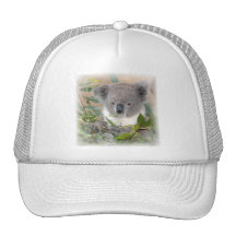 Koala Bear Baseball Hat