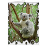Koala Bear Card