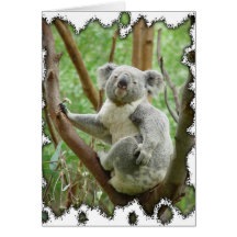 Koala Bear Card
