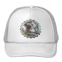 Koala Bear Facts Baseball Hat
