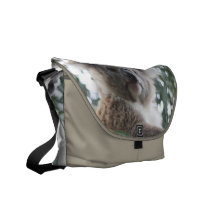 Koala Bear Facts Messenger Bag
